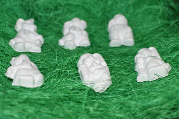 BC059 - SET PASTE IEPURASI 6 BUC - imagine 7