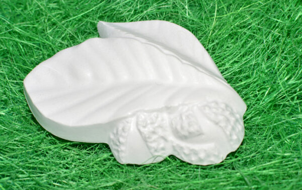 BC092 - SET PADURE NR 1 - imagine 5