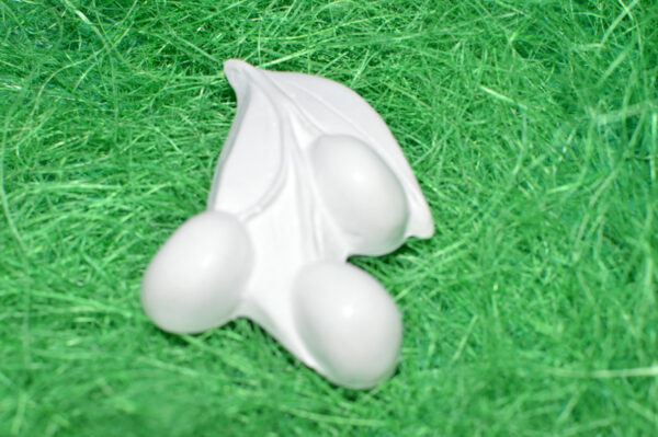 BC004-SET LEGUME - imagine 5