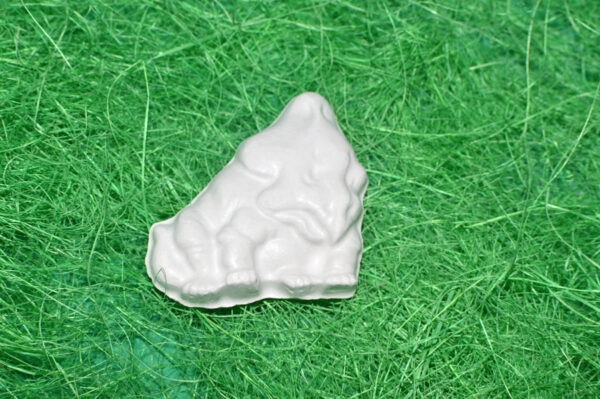BC008-SET DINOZAURI - imagine 6