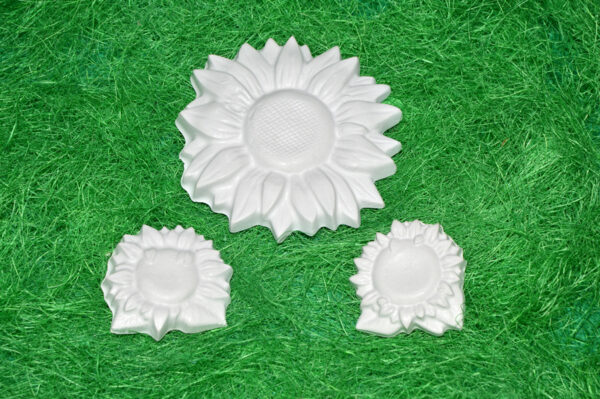 BC119 - SET FLOAREA SOARELUI 2