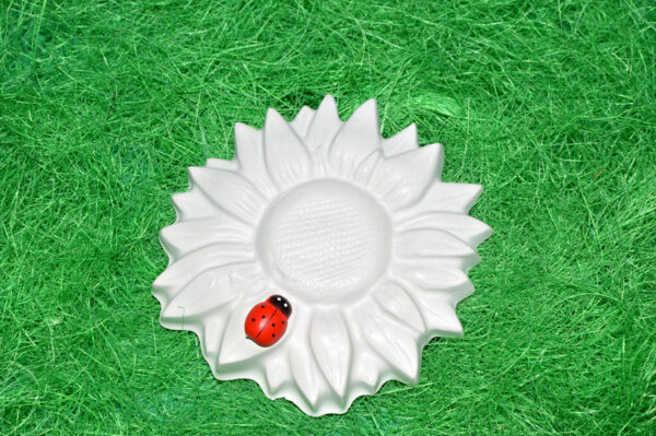 BC119 - SET FLOAREA SOARELUI 2 - imagine 5