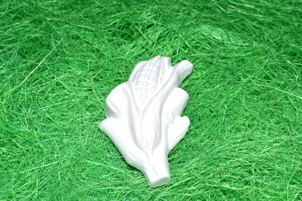 BC090 - SET LEGUME NR.2 CEAPA, ARDEI, PORUMB, DOVLEAC, MORCOV, MAZARE - imagine 2