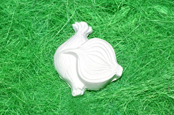 BC090 - SET LEGUME NR.2 CEAPA, ARDEI, PORUMB, DOVLEAC, MORCOV, MAZARE - imagine 6