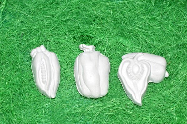 BC090 - SET LEGUME NR.2 CEAPA, ARDEI, PORUMB, DOVLEAC, MORCOV, MAZARE - imagine 7