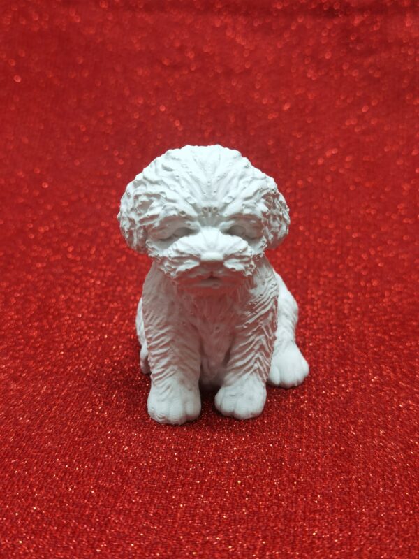 BC729 - CATEL