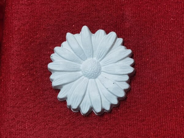 BC679 - FLOARE