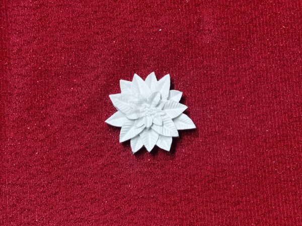 BC699 - FLOARE