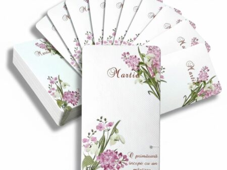 BC846- CARTON MARTISOR CU GHIOCEL 9x5,5cm